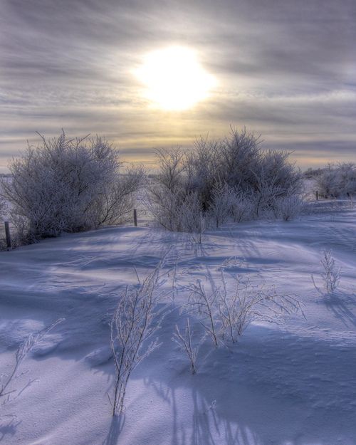 Sunrise on a snowy morning  Winter scenery Winter scenes Winter pictures