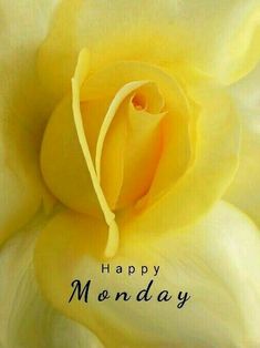 11  Hello Monday  2020