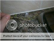 http://i1143.photobucket.com/albums/n627/thedogcody/15921-1.jpg