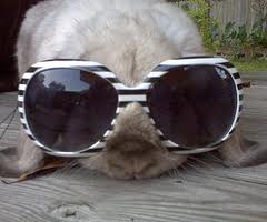 Bunny ...