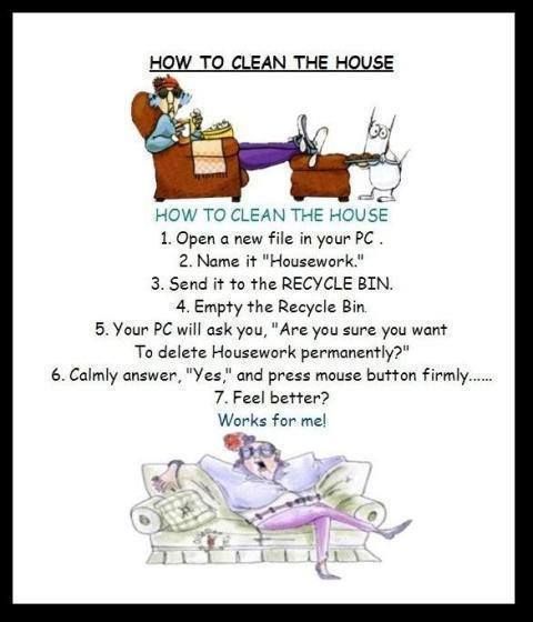 How to clean house  Cleaning quotes funny Funny quotes Funny