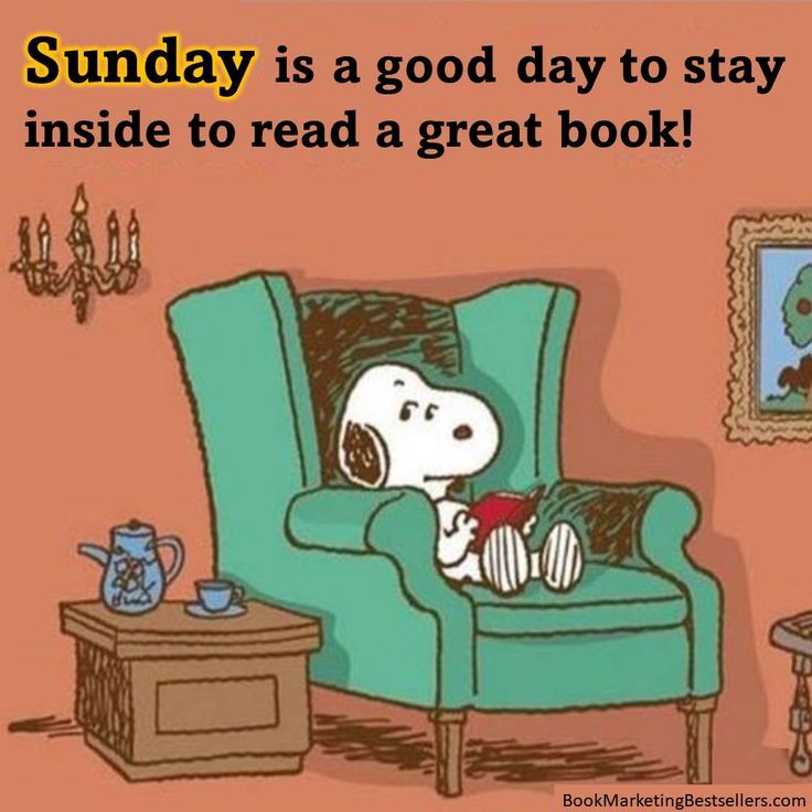 Snoopy Loves to Read Books on Sunday  Snoopy love Snoopy