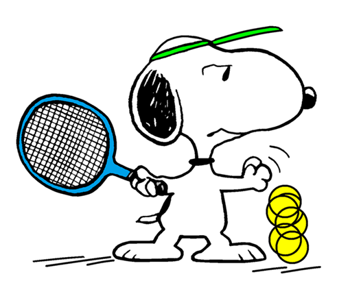 Pin on Peanuts-Snoopys Sports