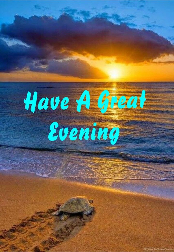 86 Good evening ideas  good evening evening quotes evening greetings