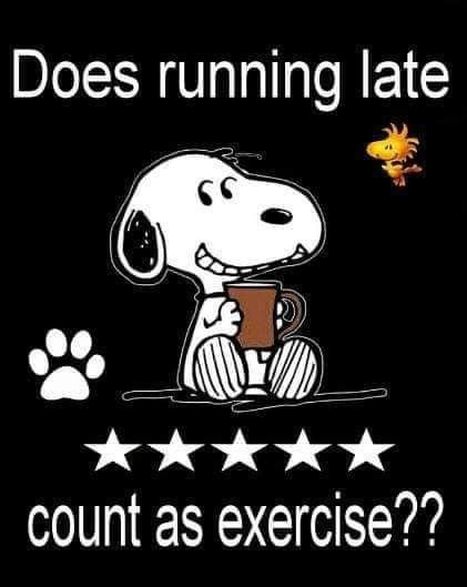 Pin by Faye Crowe on snoopy  Snoopy funny Snoopy love Snoopy pictures