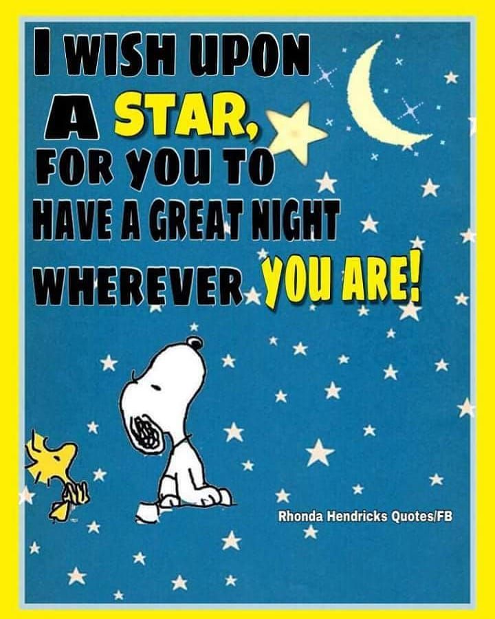 Snoopy and Charlie Brown on Instagram  Good night friends  sweet  dreams  remember to give your  a hug and k  Goodnight snoopy Snoopy  quotes Snoopy love