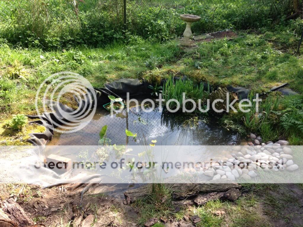 http://i1368.photobucket.com/albums/ag165/jdoherty1976/imagejpg1_zps374ea57d.jpg