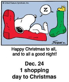 110 Snoopy39s Christmas Countdown ideas  snoopy christmas christmas  countdown charlie brown and snoopy