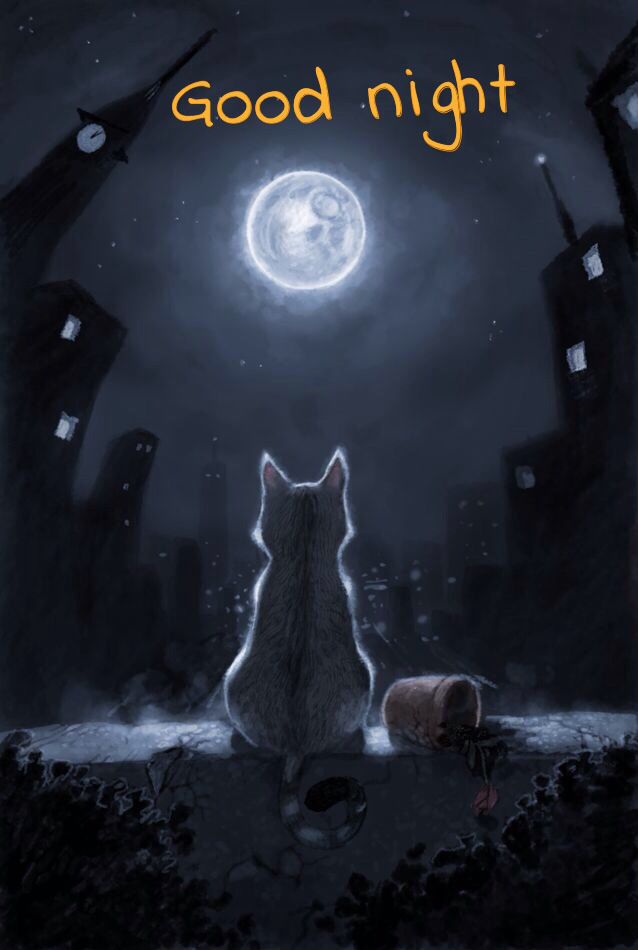 Good night  Katzen kunst Katze malen Regenbogenbrcke