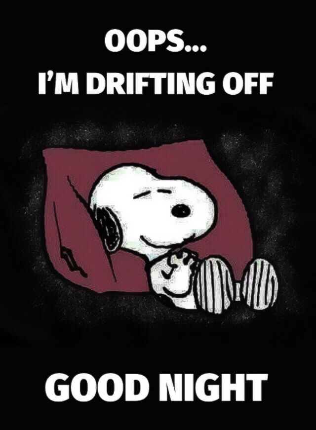 Pin by snoopy on snoopy  Good night funny Snoopy funny Goodnight snoopy