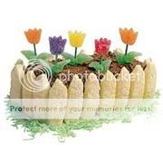 http://i1143.photobucket.com/albums/n627/thedogcody/gardencake.jpg