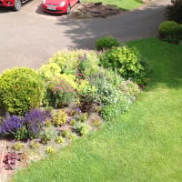 Super gardener