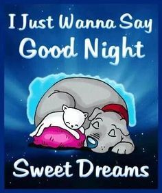 I Just Want To Say Goodnight Pictures Photos and Images for Facebook  Tumblr Pinterest and Twitter  Good night sweet dreams Good night Good  night quotes