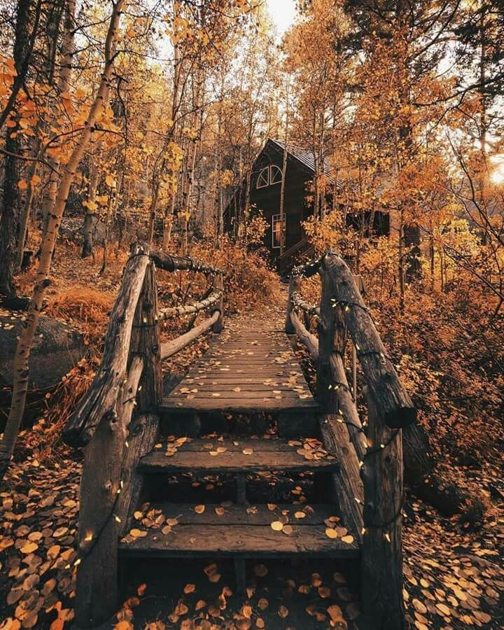 Image result for Autumn nights images