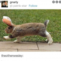 jenlilemijakey