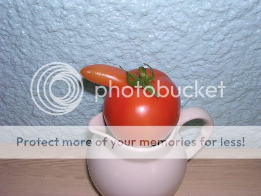 http://i27.photobucket.com/albums/c186/DavidKnapper/DSCN0295.jpg