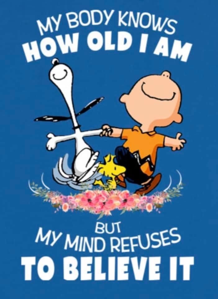 Pin by Sherry Rhoads on Happiness  Snoopy  Peanuts  Snoopy love Peanuts  charlie brown snoopy Snoopy birthday