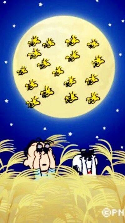 Linus is stargazing Snoopy is bird watching  Snoopy Snoopy images  Snoopy cartoon