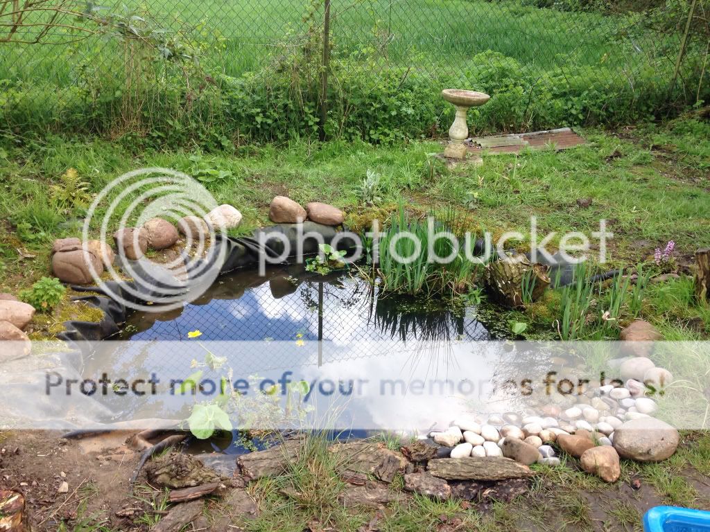http://i1368.photobucket.com/albums/ag165/jdoherty1976/47bc5d7f02d5800b9db80020bd9364f6_zps3944f252.jpg