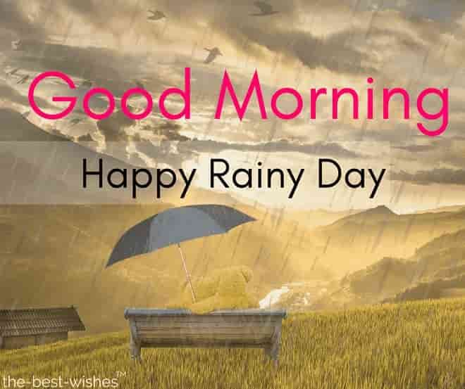 31 Perfect Good Morning Wishes For A Rainy Day  Best Images   Good  morning rainy day Good morning rain Good morning wishes