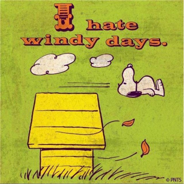 snoopy windy day - Google Search  Snoopy Snoopy love Peanuts snoopy