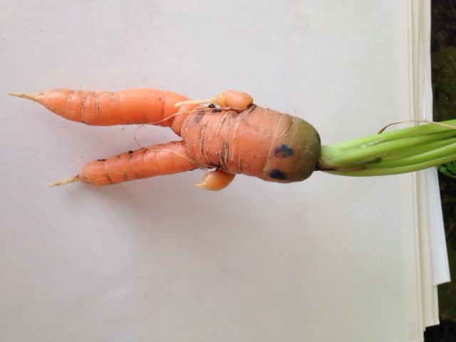 mdmartin