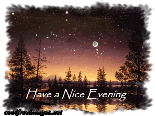 Have A Nice Evening GIFs  Tenor