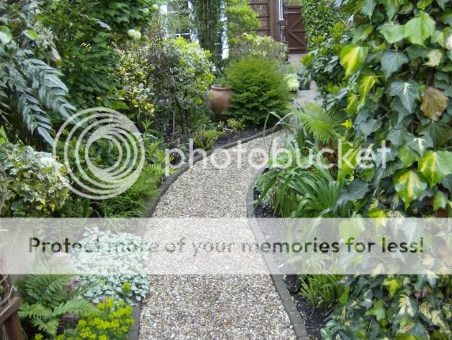 http://i1131.photobucket.com/albums/m551/lilylouise1/gardenviews045.jpg