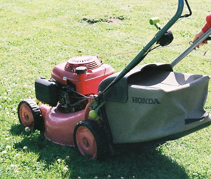 Pink Honda