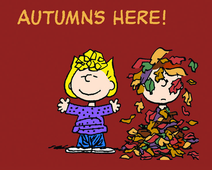 Autumns here  Snoopy love Charlie brown and snoopy Fall fun