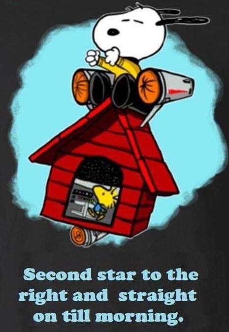 Star Trek and The Peanuts  Star trek posters Star trek funny Star trek  quotes