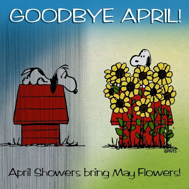 Goodbye April Hello May  Snoopy Snoopy love Snoopy quotes