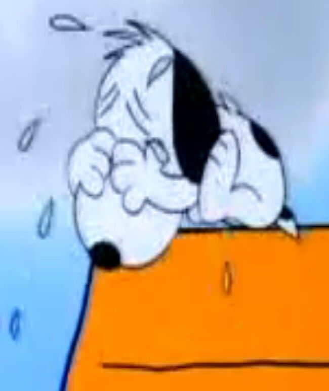 Snoopy dont cry  Snoopy love Snoopy pictures Snoopy images