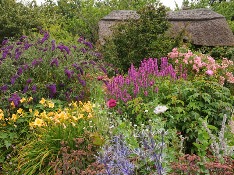 Cottage garden design plants structure and planting tips - Saga
