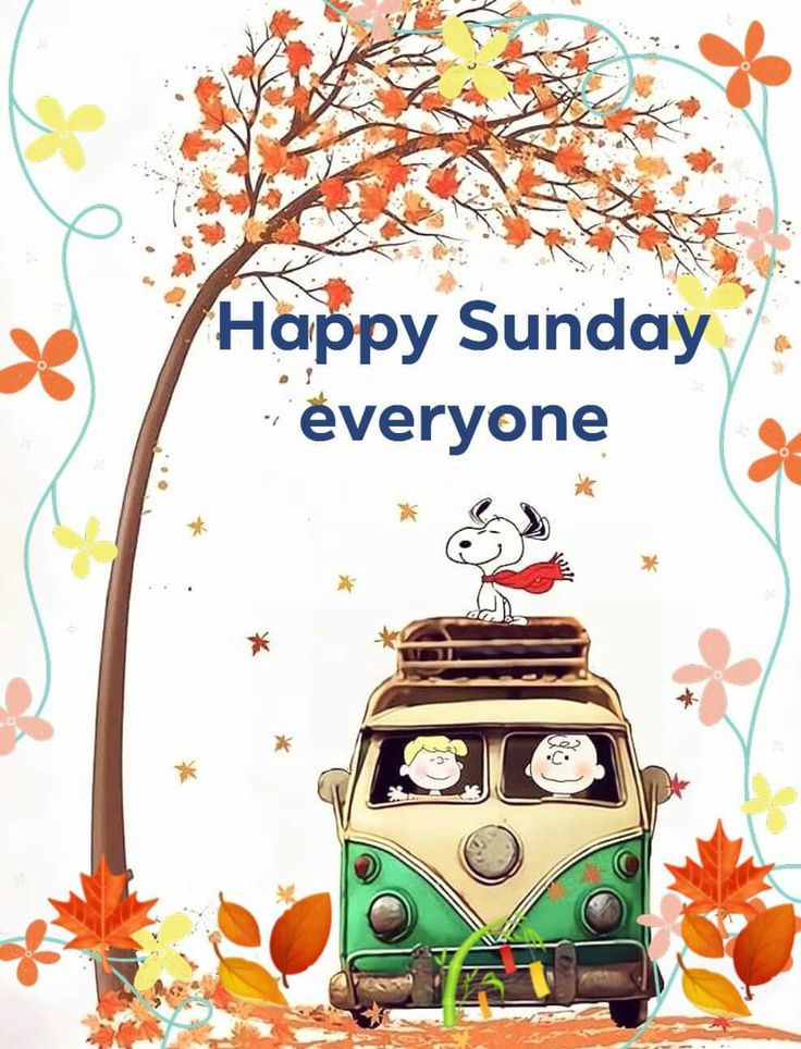 Pin by Scott Oswald on Snoopy and the Peanuts gang  Happy sunday everyone  Snoopy quotes Funny good morning quotes