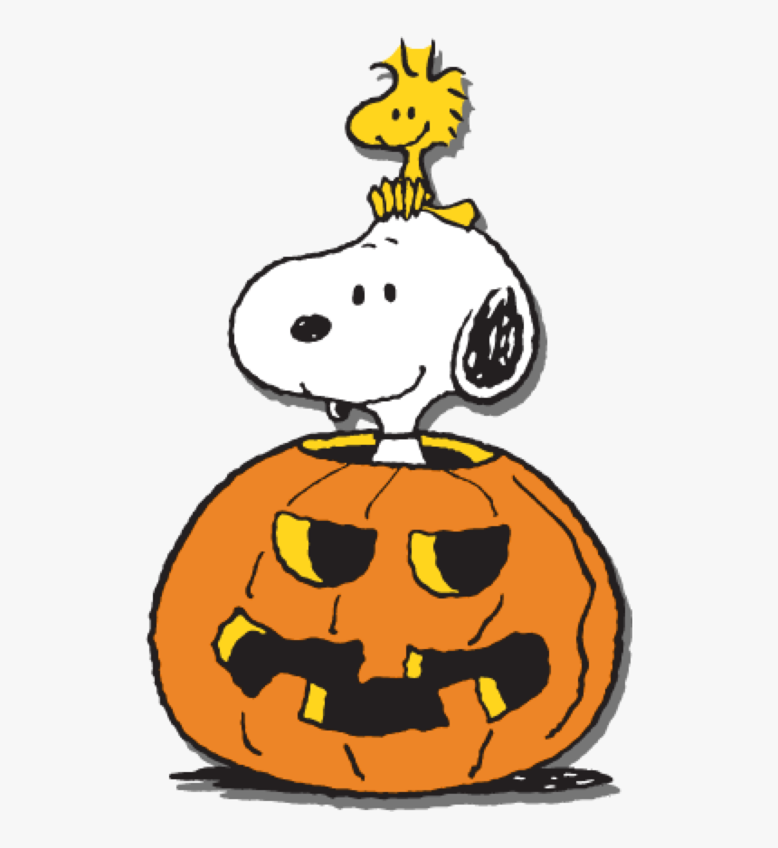 Transparent The Great Pumpkin Clipart - Snoopy Charlie Brown Halloween HD  Png Download  Transparent Png Image - PNGitem
