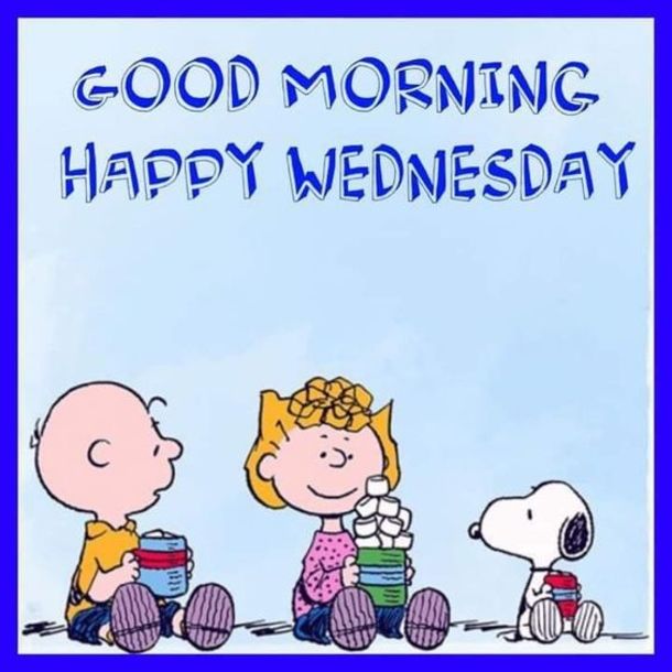 10 Wednesday Snoopy Quotes amp Pictures  Good morning snoopy Happy wednesday  quotes Morning quotes funny