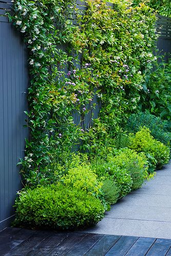 Modern Courtyard Garden Design London Cat Howard Garden Builders