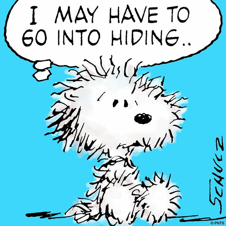 Pin by Denise Oseguera on Snoopy  Snoopy funny Snoopy pictures Snoopy  cartoon
