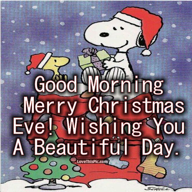 Snoopy Good Morning Christmas Eve Quote  Christmas humor Christmas eve  quotes Funny christmas eve quotes