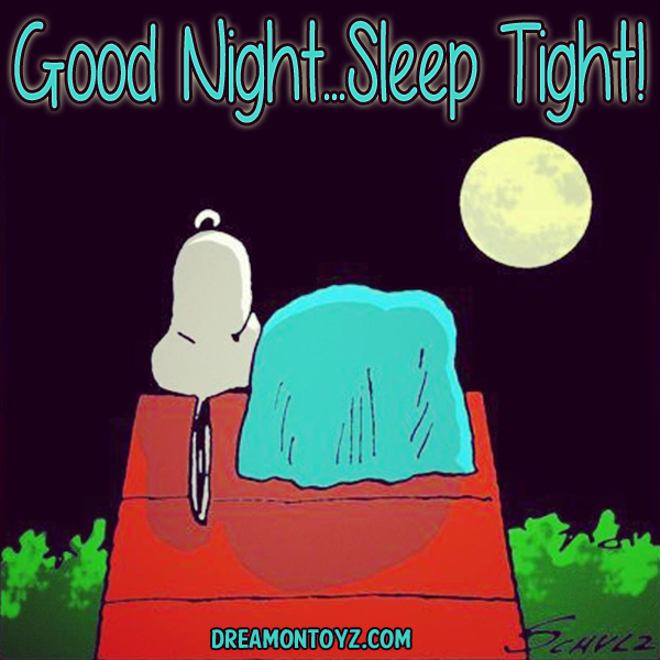 Click on pictures for the largest view Goodnight Charlie Brown with Snoopy  on his dog house  Z Wo  Snoopy images Goodnight snoopy Good night  sleep tight
