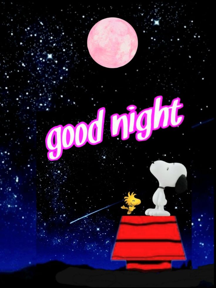 good-night  Goodnight snoopy Snoopy and woodstock Snoopy