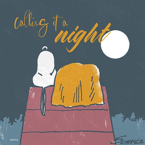 PEANUTS on Twitter  Snoopy pictures Goodnight snoopy Snoopy images