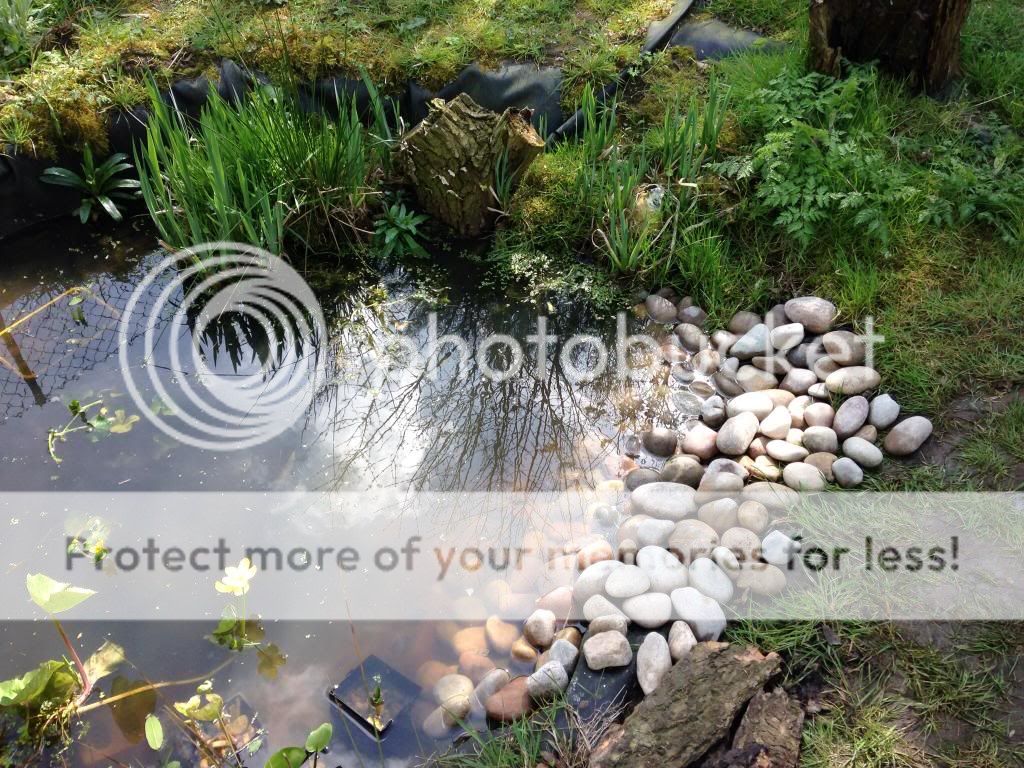 http://i1368.photobucket.com/albums/ag165/jdoherty1976/imagejpg2_zps1b98967e.jpg