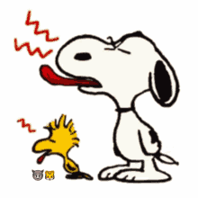 Snoopy GIFs  Tenor  Snoopy quotes Snoopy Snoopy images