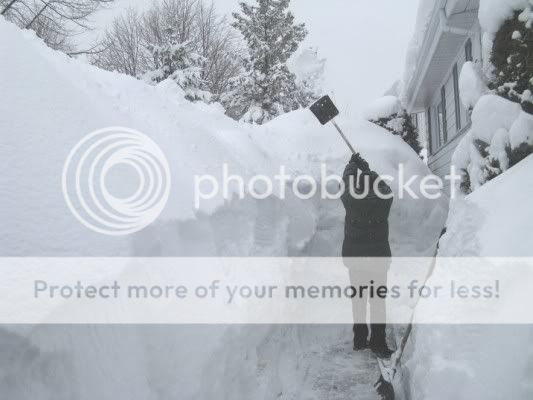 http://img.photobucket.com/albums/v11/otnorot/cid_C1B56D8212F4494C98CD29B81E8EC43CownerPC.jpg