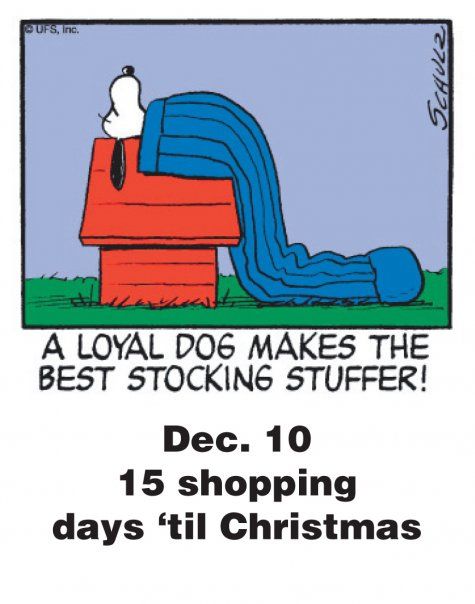 Dec 10 - This is a classic countdown panel from 2009
