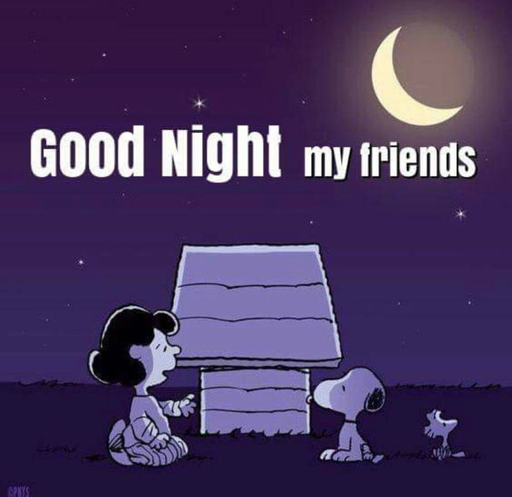 Good night quotes Good night my friend Good morning snoopy