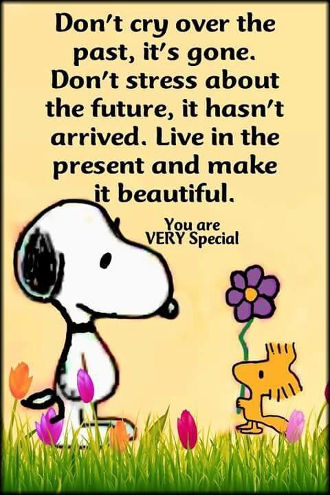 Pin on SNOOPY  FRIENDS