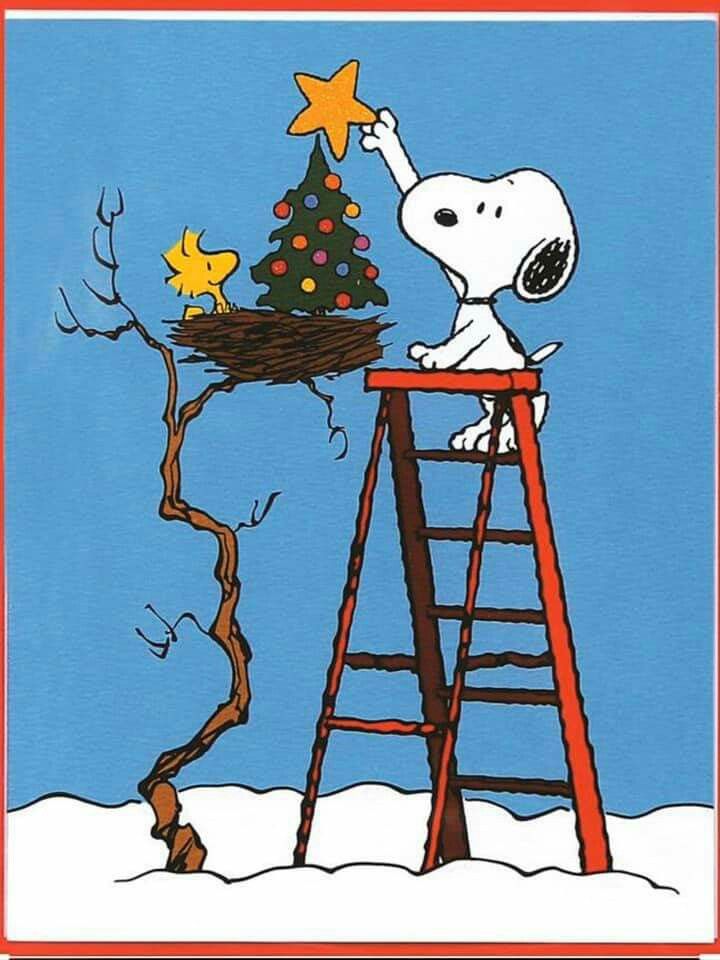 Pin on Snoopy